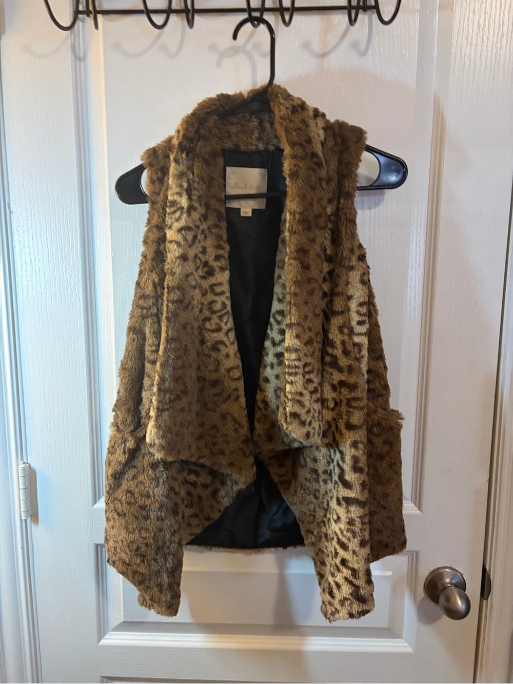Altar'd State Leopard Faux Fur Vest in Brown